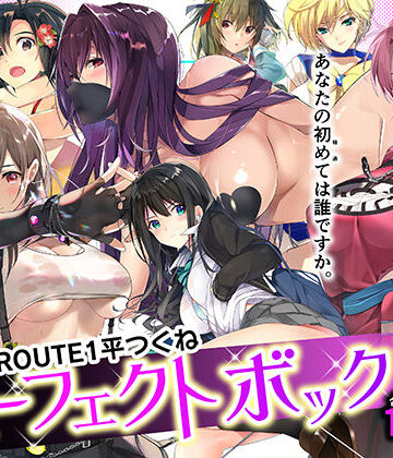 【あはーん！】ROUTE1 平つくね パーフェクトボックス｜d_359811